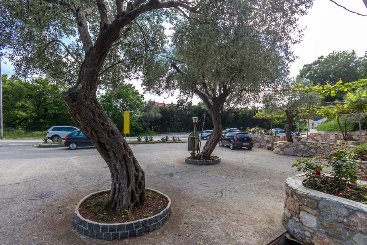 Sumice Inn Petrovac Extérieur photo